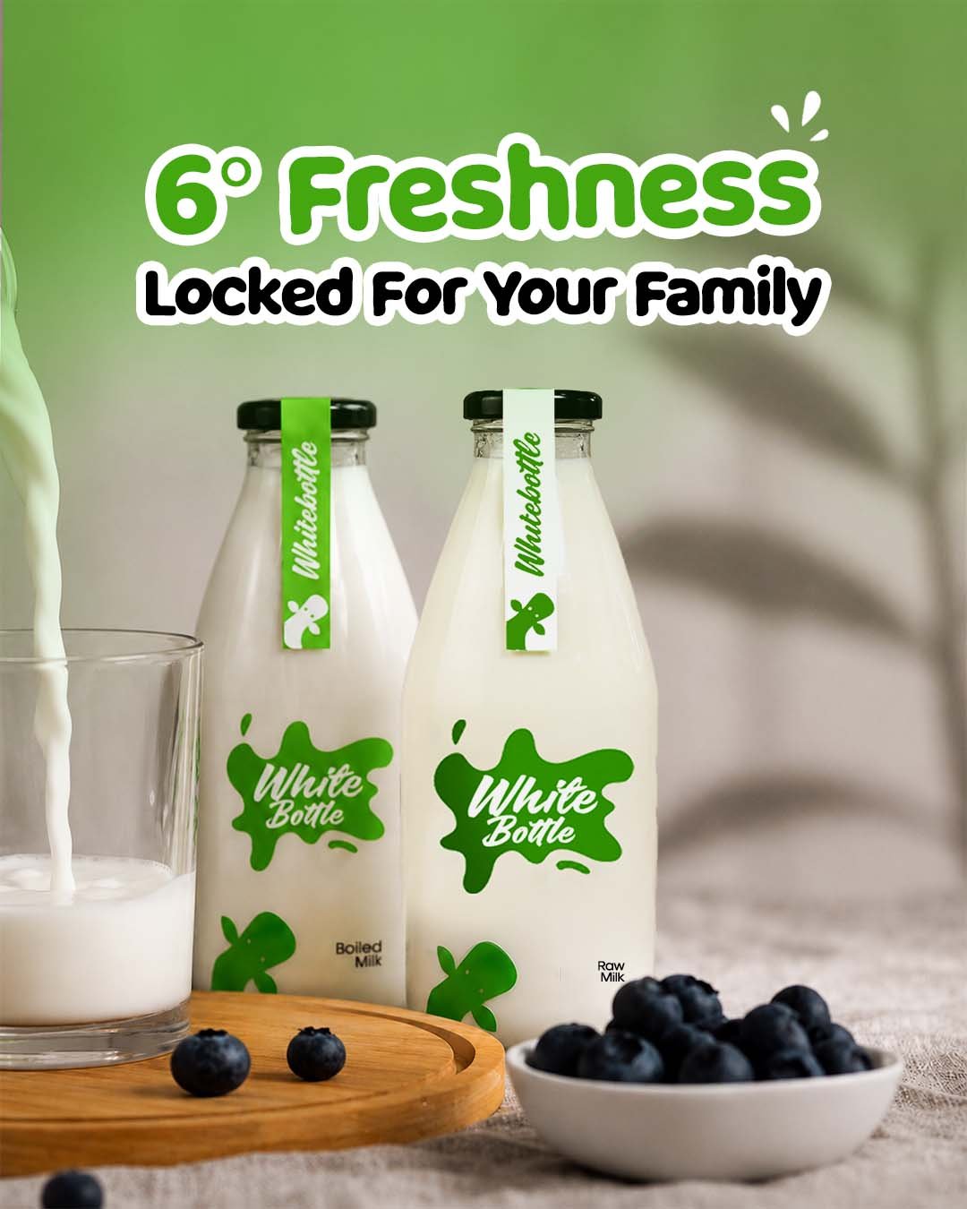 WhiteBottle Fresh Milk